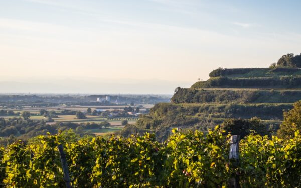 A Slow Weekend in Slovenia’s Karst: Caves, Vineyards, and Stone Villages Near the Adriatic