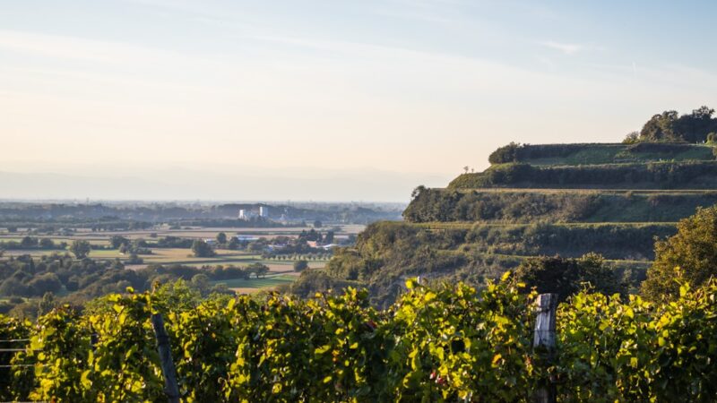 A Slow Weekend in Slovenia’s Karst: Caves, Vineyards, and Stone Villages Near the Adriatic