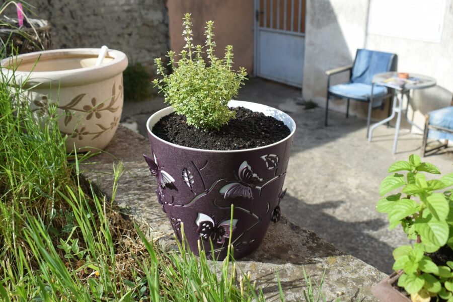Balcony herb garden pots railing