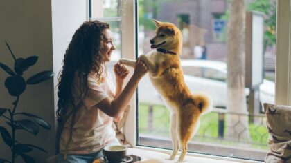 First-time dog owner mistakes you can avoid in the first 3 months