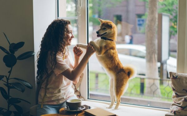 First-time dog owner mistakes you can avoid in the first 3 months