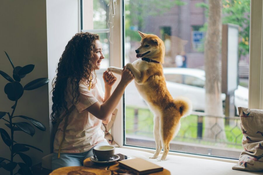 Happy owner training young dog indoors
