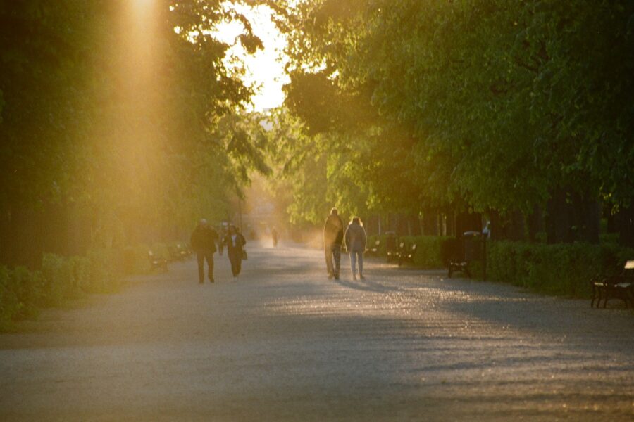 City park runners morning sunlight path