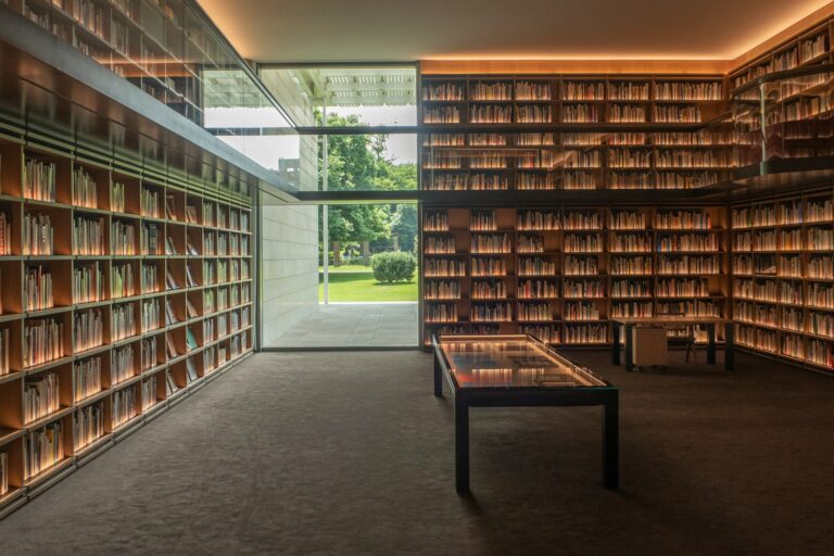 Modern library interior bookshelves tables