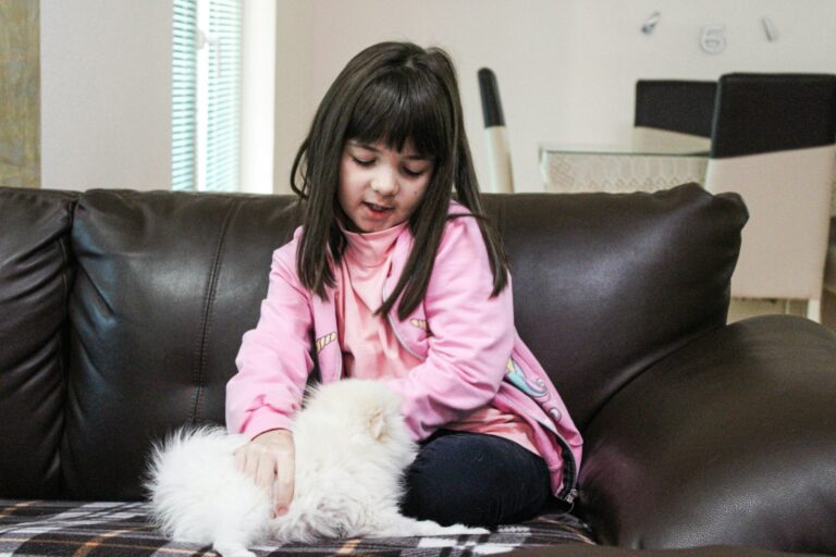 Girl brushing cat sofa