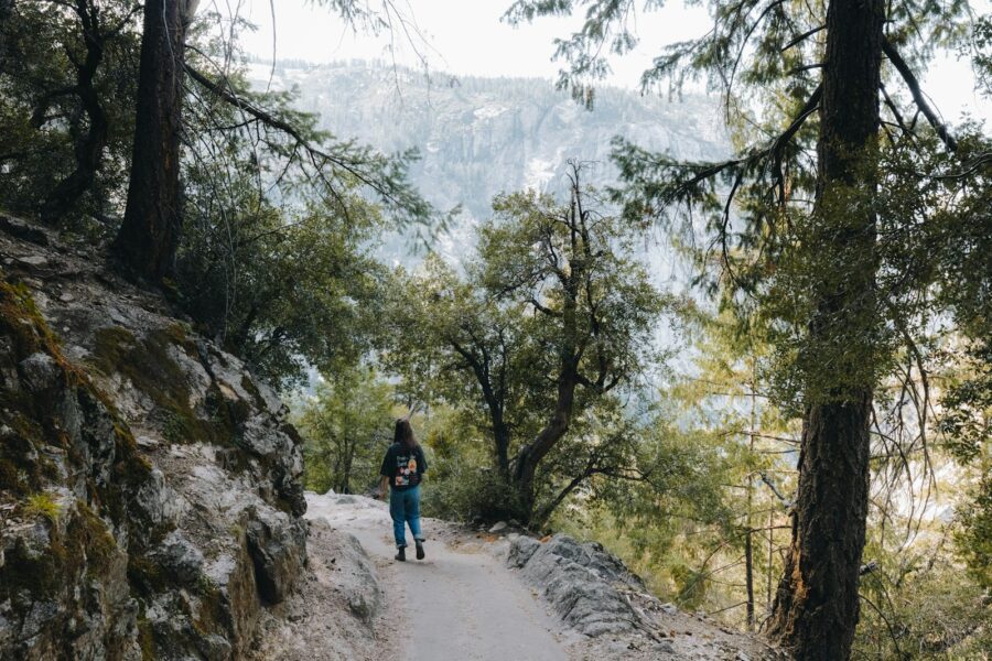 Trail runner forest path mountains