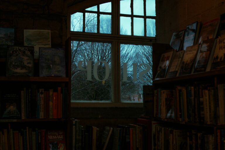 Cozy bookshop interior rain window