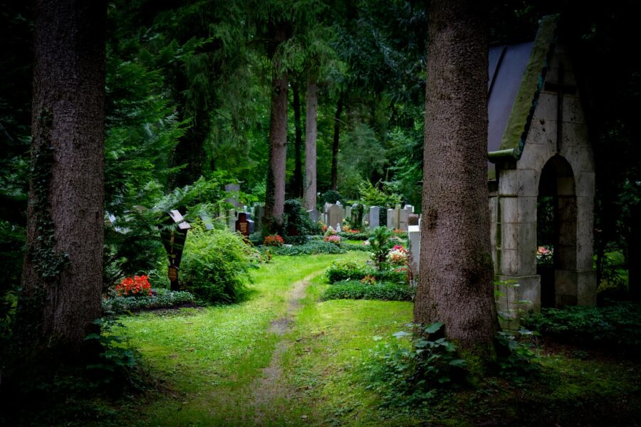 Historic cemetery trees stone monuments pathway