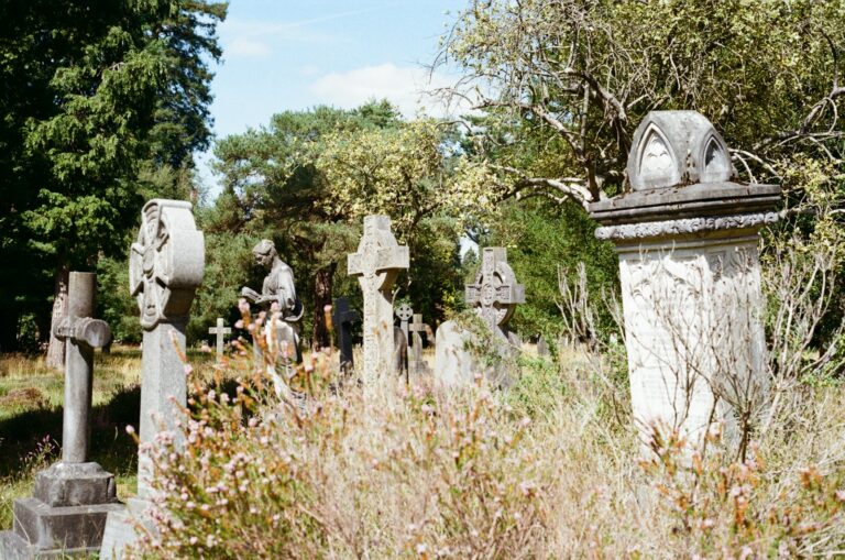 Old gravestones sculpture close cemetery walking tour group