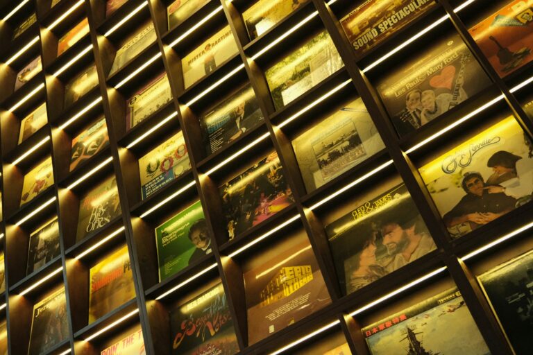 Record sleeve wall shelf closeup