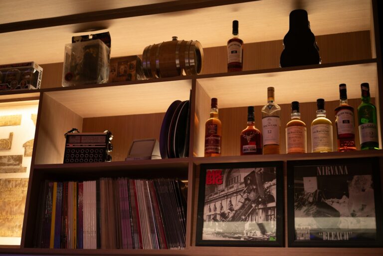 Cocktail bar interior bookshelf speakers