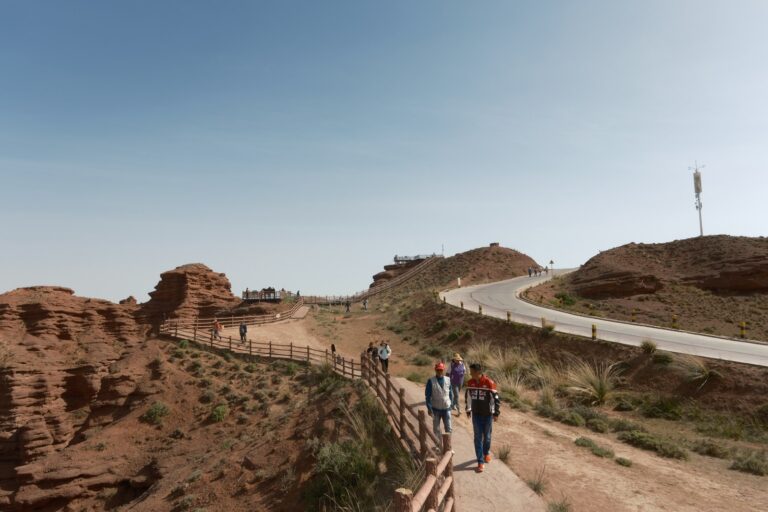 Family walking desert