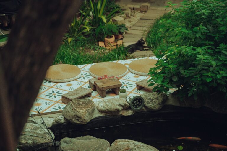 Child nature corner