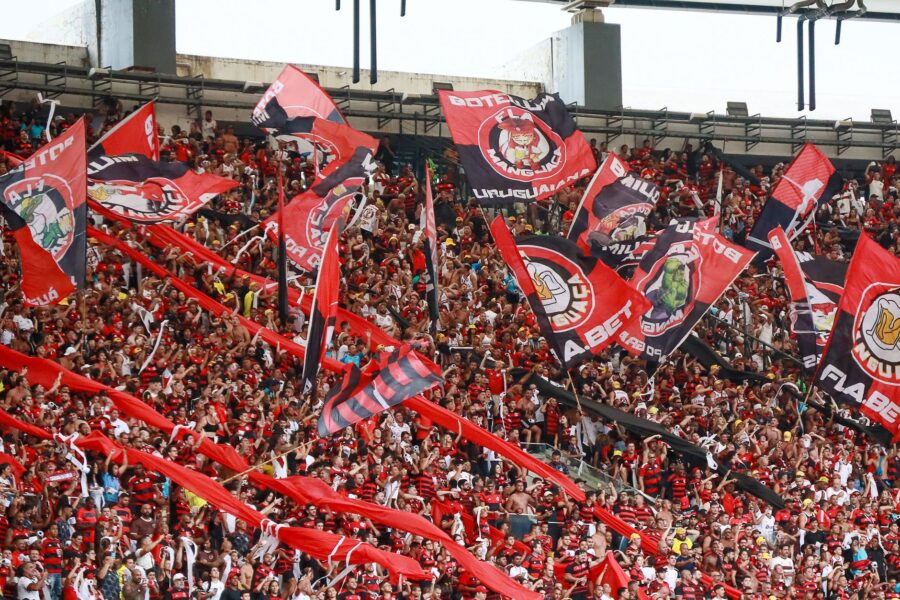 Football fans stadium
