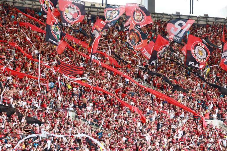 Football fans stadium