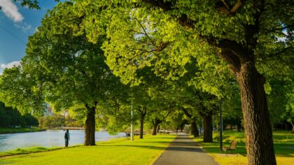 How a short daily walk calms your mind and strengthens your body