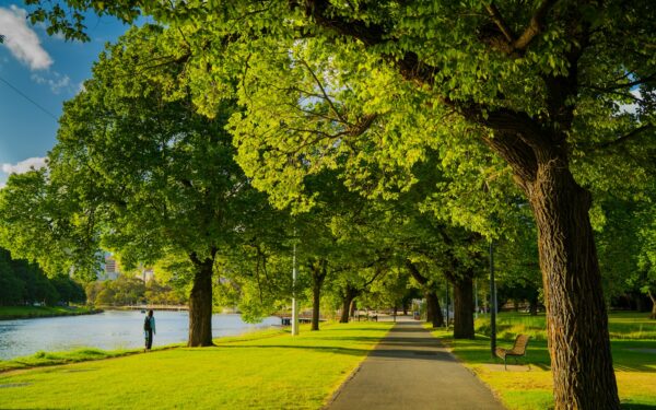 How a short daily walk calms your mind and strengthens your body