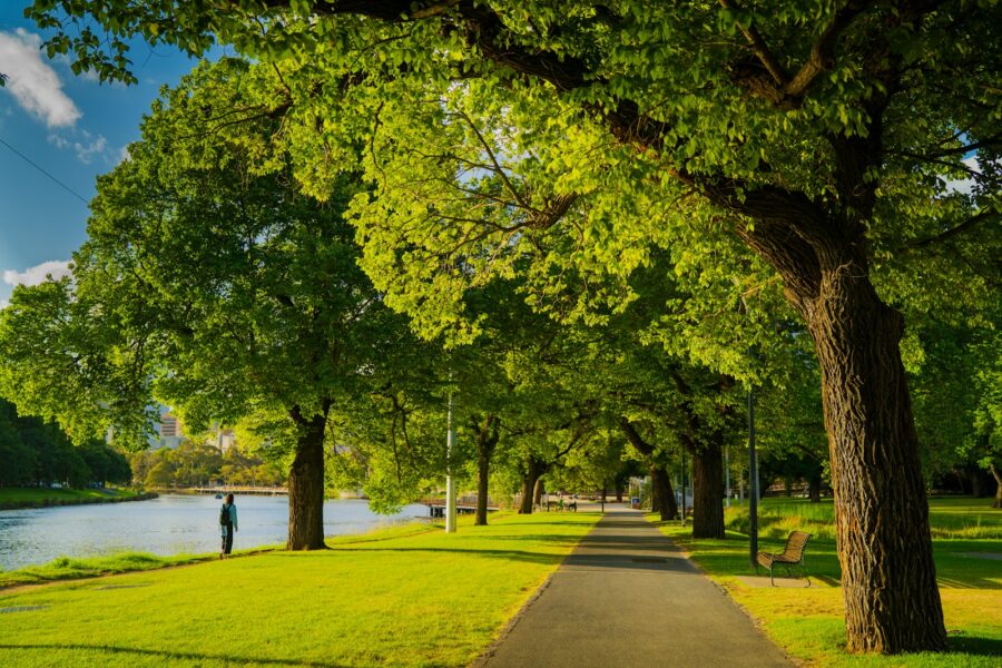 City park path