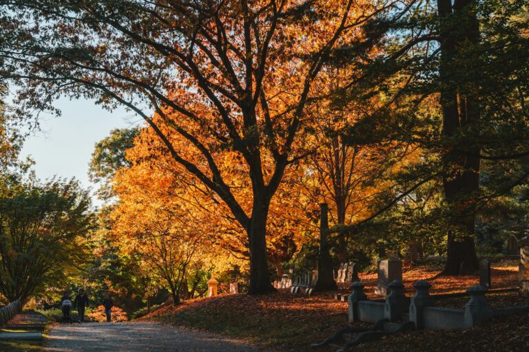 Historic cemetery path