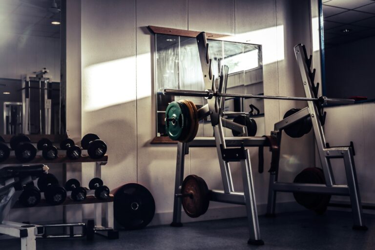 Gym barbell squat