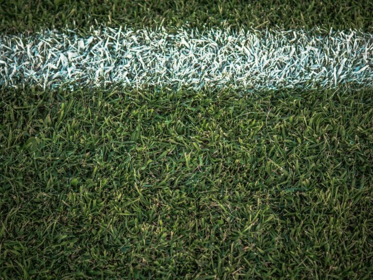 Children football match