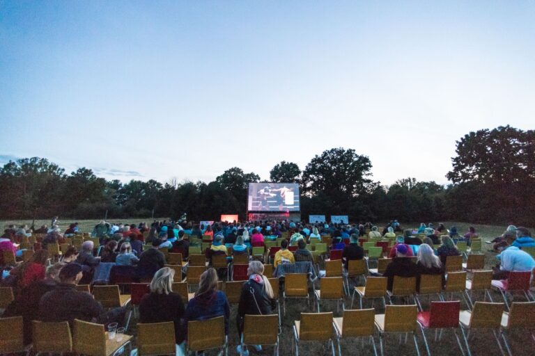 Outdoor cinema night