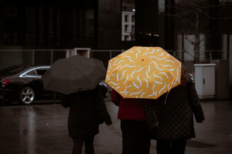 City street rain