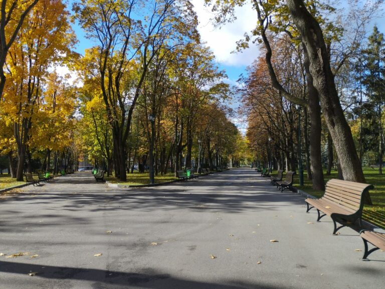 City park bench
