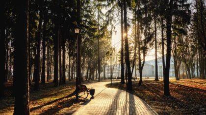 How to find hidden green spaces in big cities and turn them into your daily escape