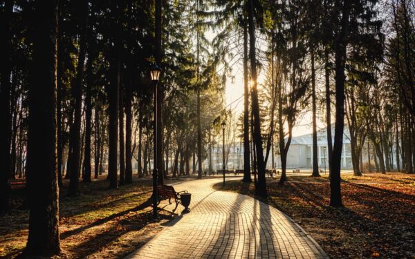 How to find hidden green spaces in big cities and turn them into your daily escape