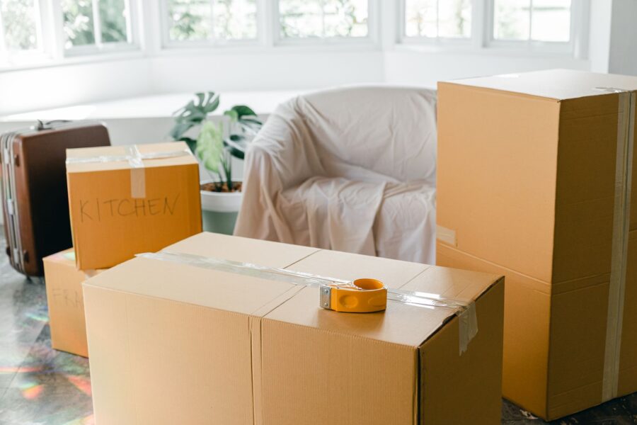 Cardboard boxes living