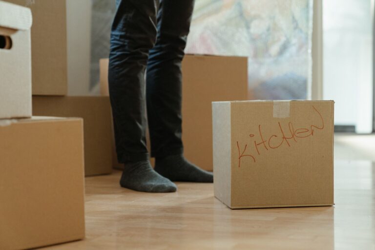 Cardboard boxes living