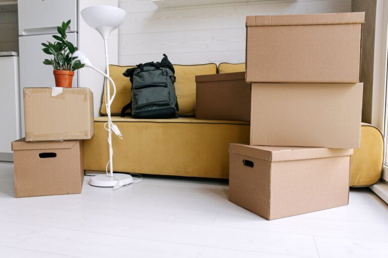 Cardboard boxes living