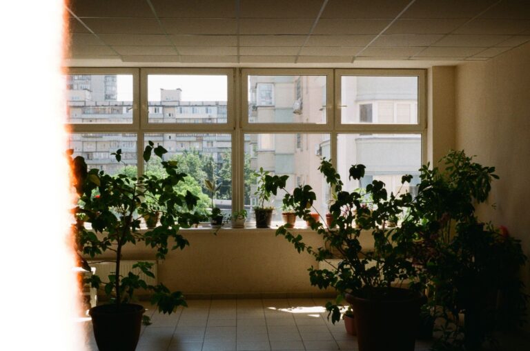 Open window living