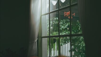 How to improve indoor air quality at home with simple, science-backed steps
