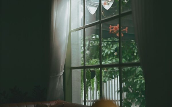 How to improve indoor air quality at home with simple, science-backed steps