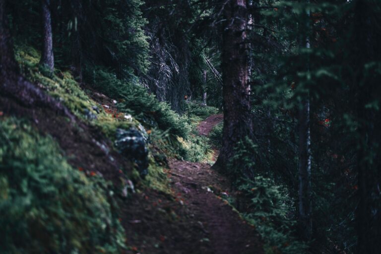 European national park