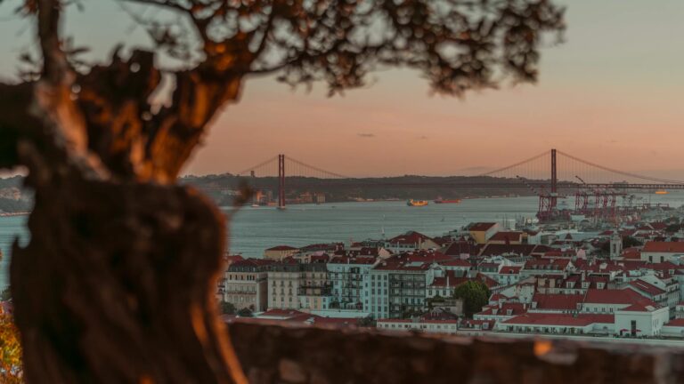 Lisbon viewpoint cityscape river tagus sunset detail