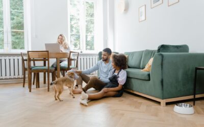 How to share pet care at home so animals and people all feel looked after