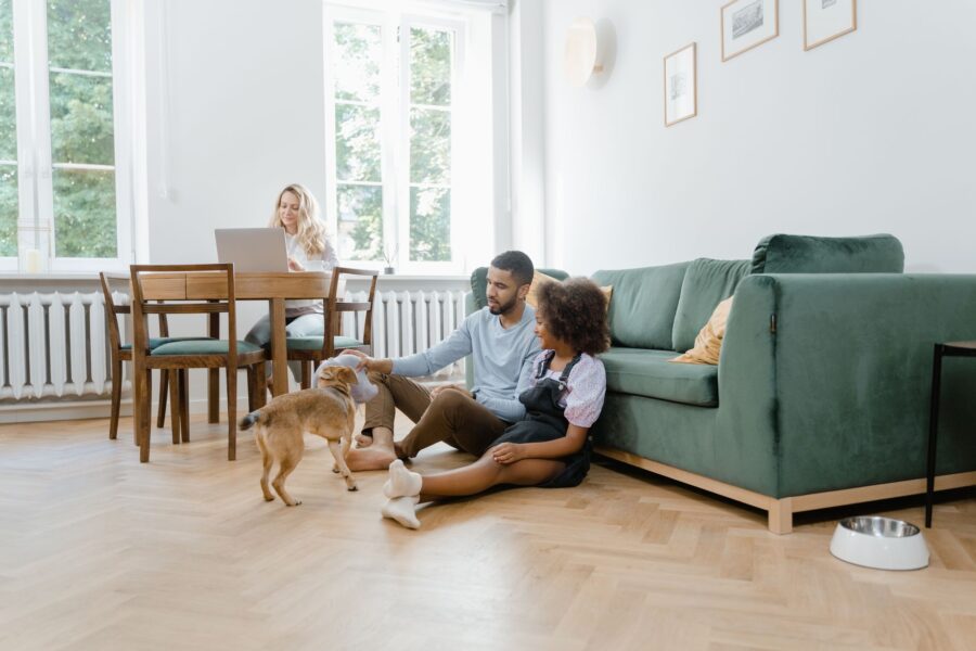 Family dog living