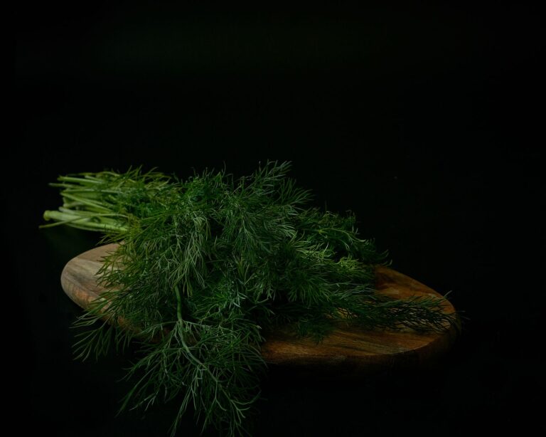 Fresh herbs bunches
