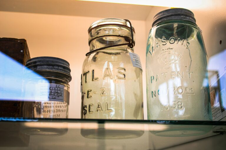 Organized fridge shelves glass containers vegetables