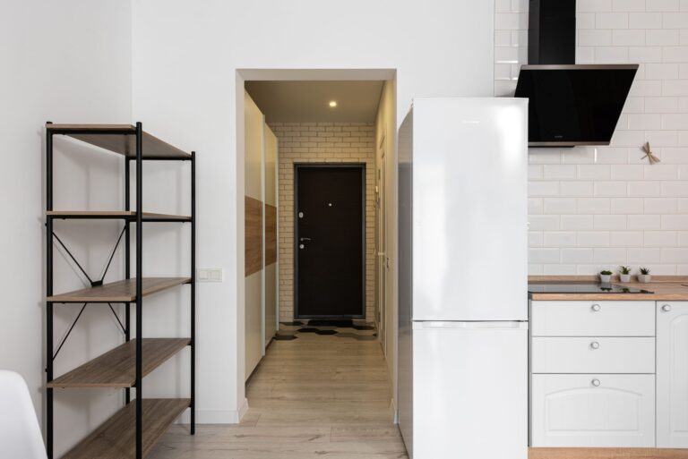 Fridge shelves fresh