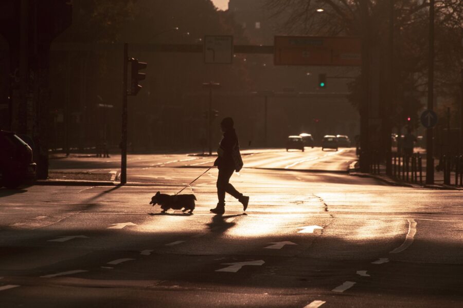 Person walking dog