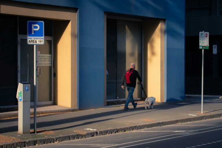 Person walking dog