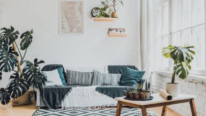 Simple ways to keep indoor air cleaner at home without expensive gadgets