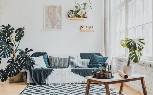 Simple ways to keep indoor air cleaner at home without expensive gadgets