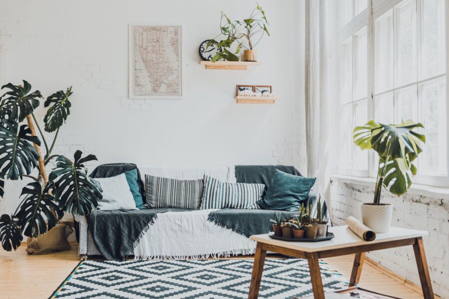 Open window indoor plants cozy living room