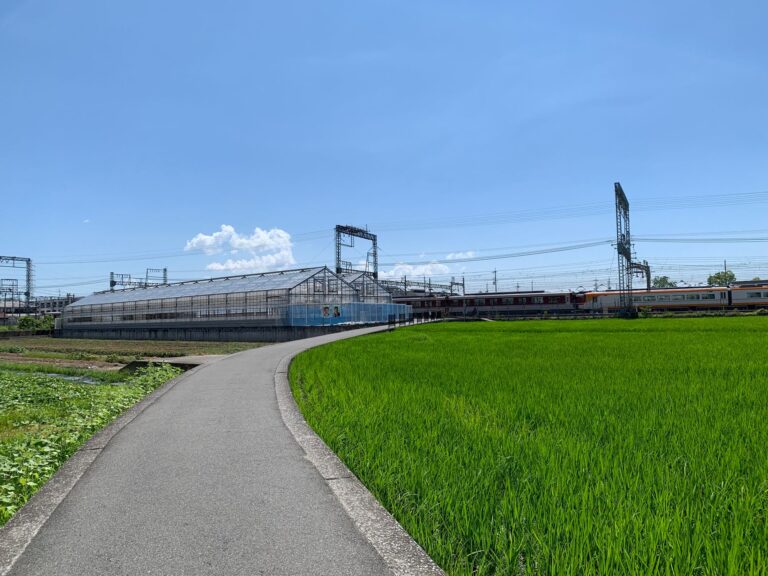 Japan rural train
