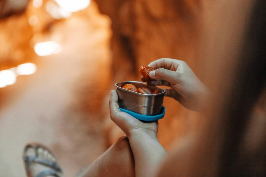 Healthy travel snacks